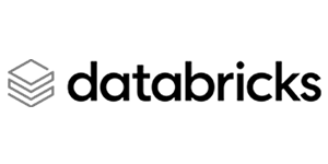 BW DATABRICKS