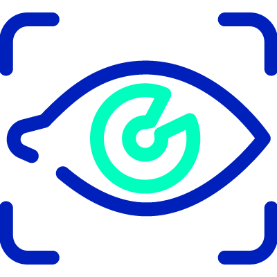 Icon2_Fraud detection